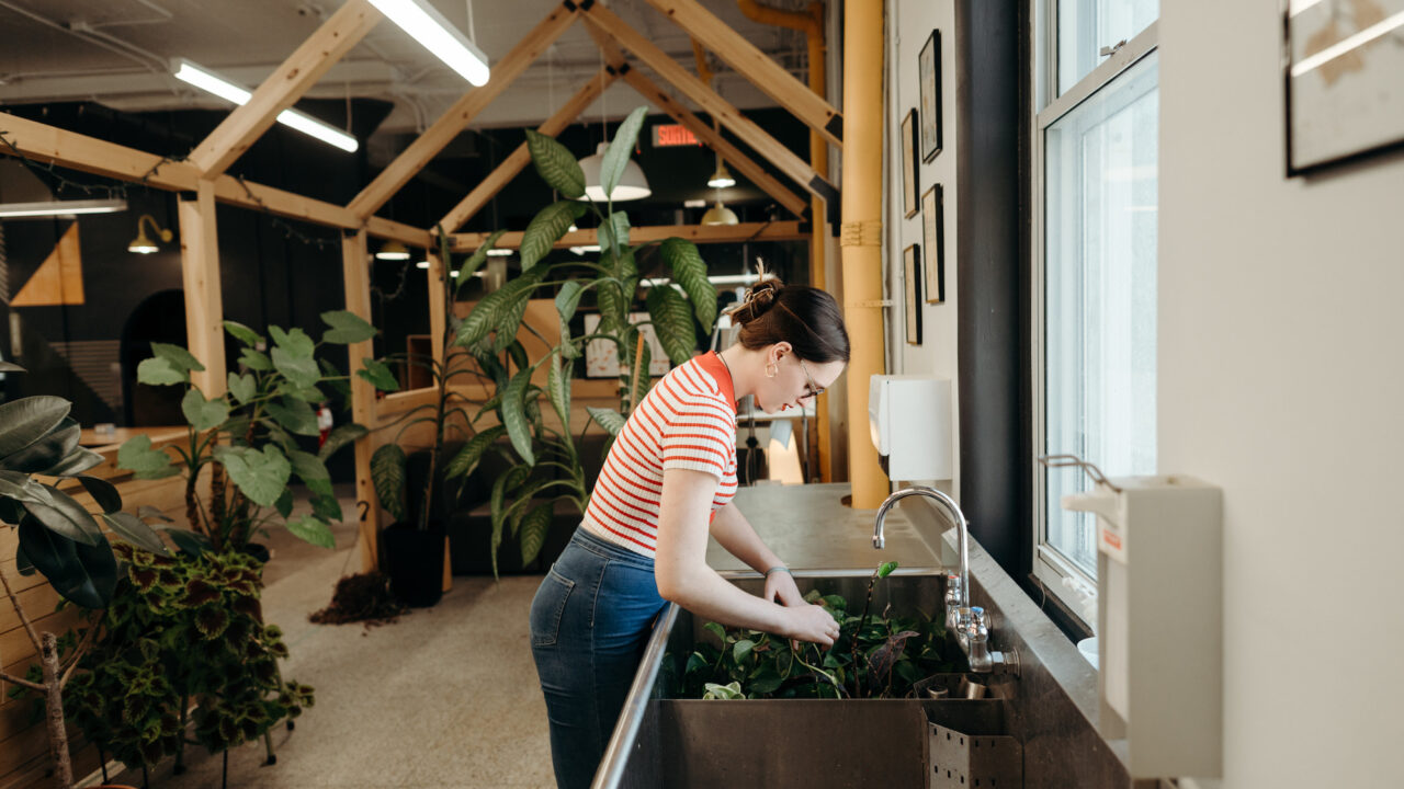 Sainte anne collegial 51